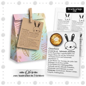Puede incluir: Una bolsa de regalo de color pastel con un diseño dorado, una pinza de madera y una etiqueta con un conejito de dibujos animados. La etiqueta tiene la palabra "Osterhase" y texto en alemán. También se ven un bombón Ferrero Rocher y tarjetas impresas.