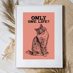 Téléchargement XXL • Une seule vie ? • poster drôle de chat mignon carte postale Sandra Mahn dessin peinture vétérinaire funky art vétérinaire carpe diem memento mori