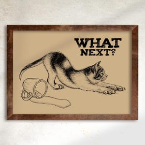 Téléchargement XXL • Et ensuite ? • affiche carte postale drôle de chaton mignon Sandra Mahn dessin à la plume peinture art mural vétérinaire vétérinaire noir