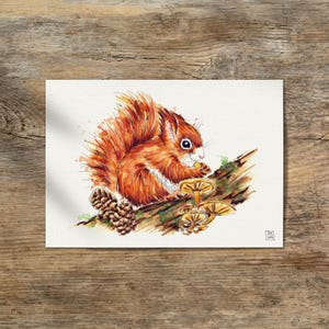 A4 Pintura de acuarela original ardilla roja euroasiática Sciurus vulgaris sin impresión • dibujo hecho a mano por Sandra Mahn acuarela pintada a mano