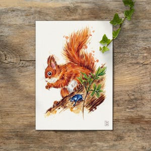 A4 Pintura de acuarela original ardilla roja euroasiática Sciurus vulgaris sin impresión • dibujo hecho a mano Sandra Mahn acuarela real pintada a mano