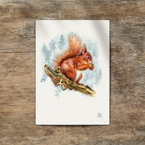 A4 Pintura de acuarela original ardilla roja euroasiática Sciurus vulgaris sin impresión • dibujo hecho a mano Sandra Mahn acuarela real pintada a mano