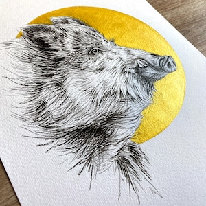 May include: A detailed pen and ink drawing of a wild boar's head, set against a gold-coloured circular background. The boar's fur is rendered in fine, textured lines, with a focus on the animal's features. The artwork is on white paper.