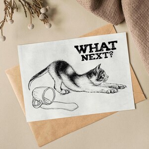 Téléchargement XXL • Et ensuite ? • affiche carte postale drôle de chaton mignon Sandra Mahn dessin à la plume peinture art mural vétérinaire vétérinaire noir