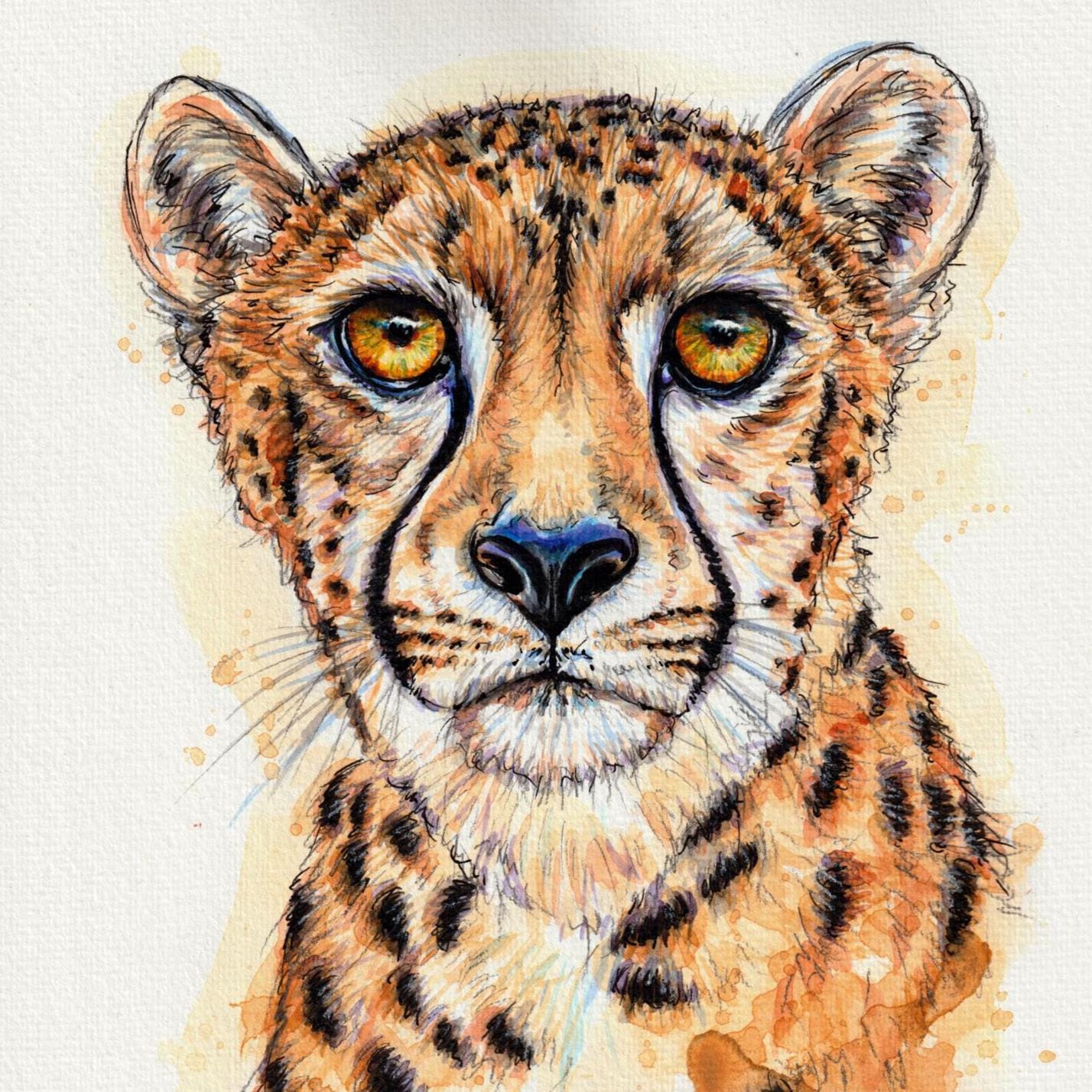 A4 オリジナル水彩画 チーター acinonyx jubatus 大型ネコ科動物 印刷