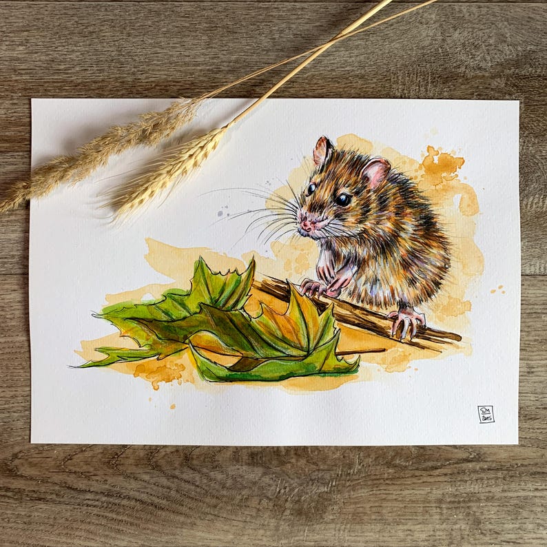 A4 Original Watercolor Painting Rat Rattus Brown Mouse No Print ...