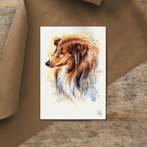 A5 origineel aquarel schilderij ruwe langharige collie hond huisdier geen afdruk • handgemaakte tekening Sandra Mahn handgeschilderd aquarel portret