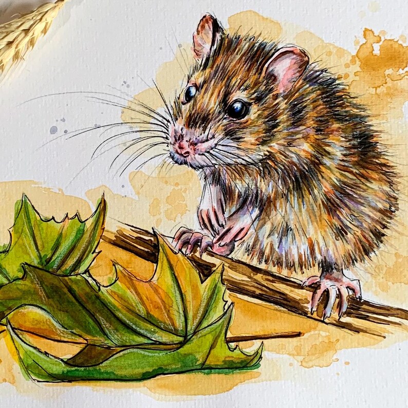 A4 Original Watercolor Painting Rat Rattus Brown Mouse No Print ...