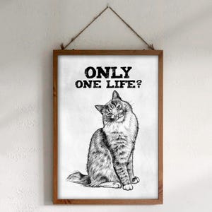 Téléchargement XXL • Une seule vie ? • poster drôle de chat mignon carte postale Sandra Mahn dessin peinture vétérinaire funky art vétérinaire carpe diem memento mori