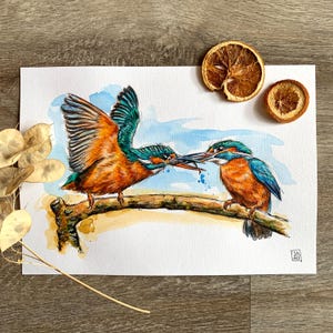 Originele aquarel A4, ijsvogel alcedo, geen afdruk • handgemaakte tekening door Sandra Mahn • handgeschilderde aquarel • vogel
