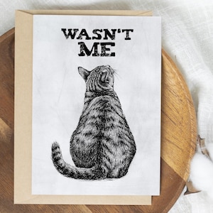 Téléchargement XXL • N'était-ce pas moi • drôle de chaton mignon affiche carte postale Sandra Mahn dessin peinture vétérinaire funky art vétérinaire innocent retournez-vous