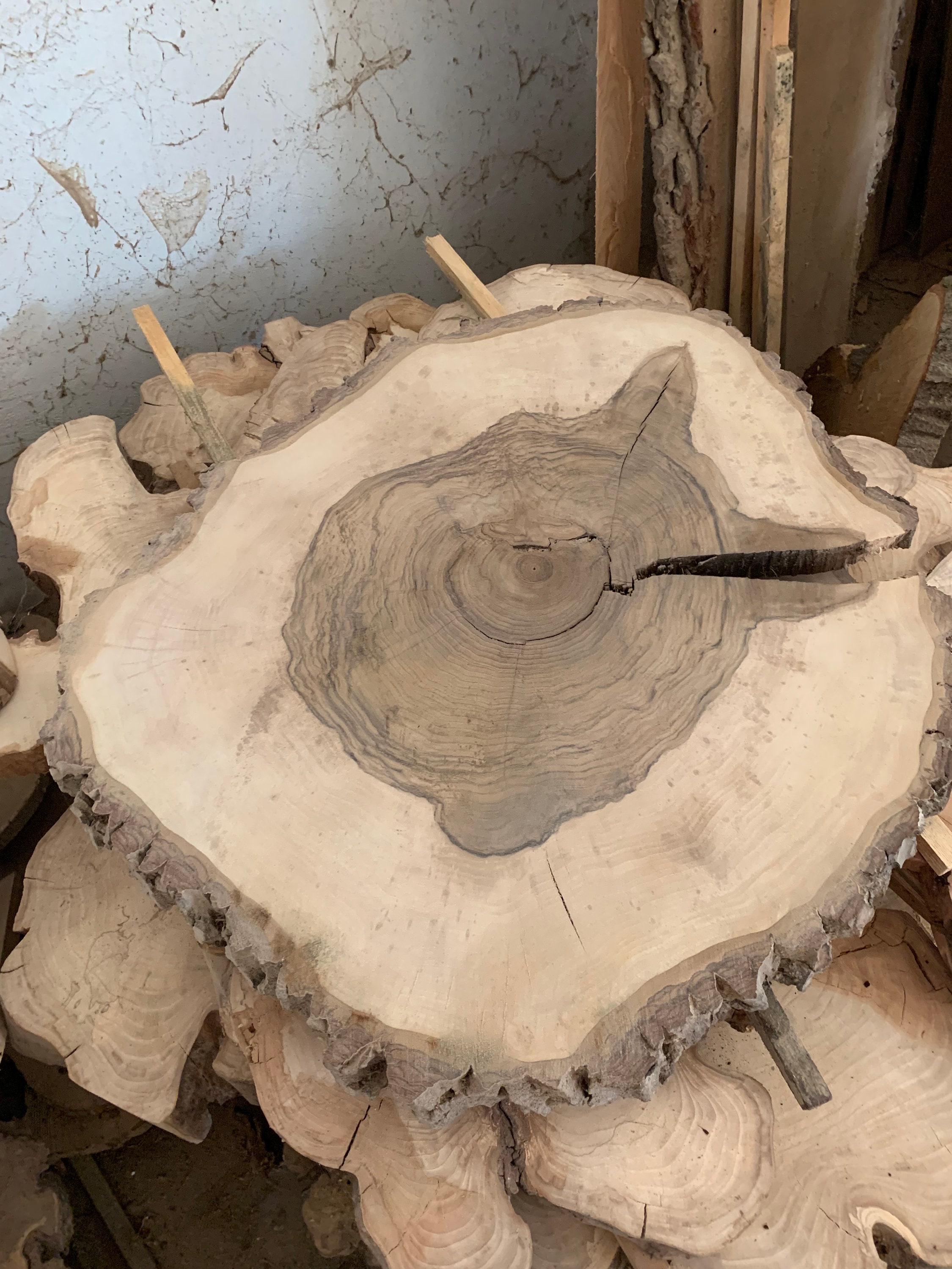 Tree slice wooden disc table top approx.80 x 5 cm walnut Etsy