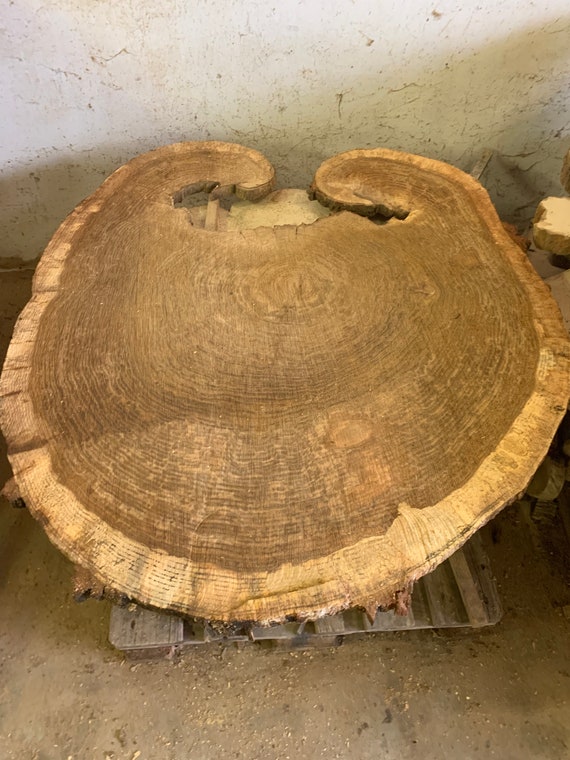 Tree slice Table top beech tuber approx. 120 x 2 cm oak Etsy