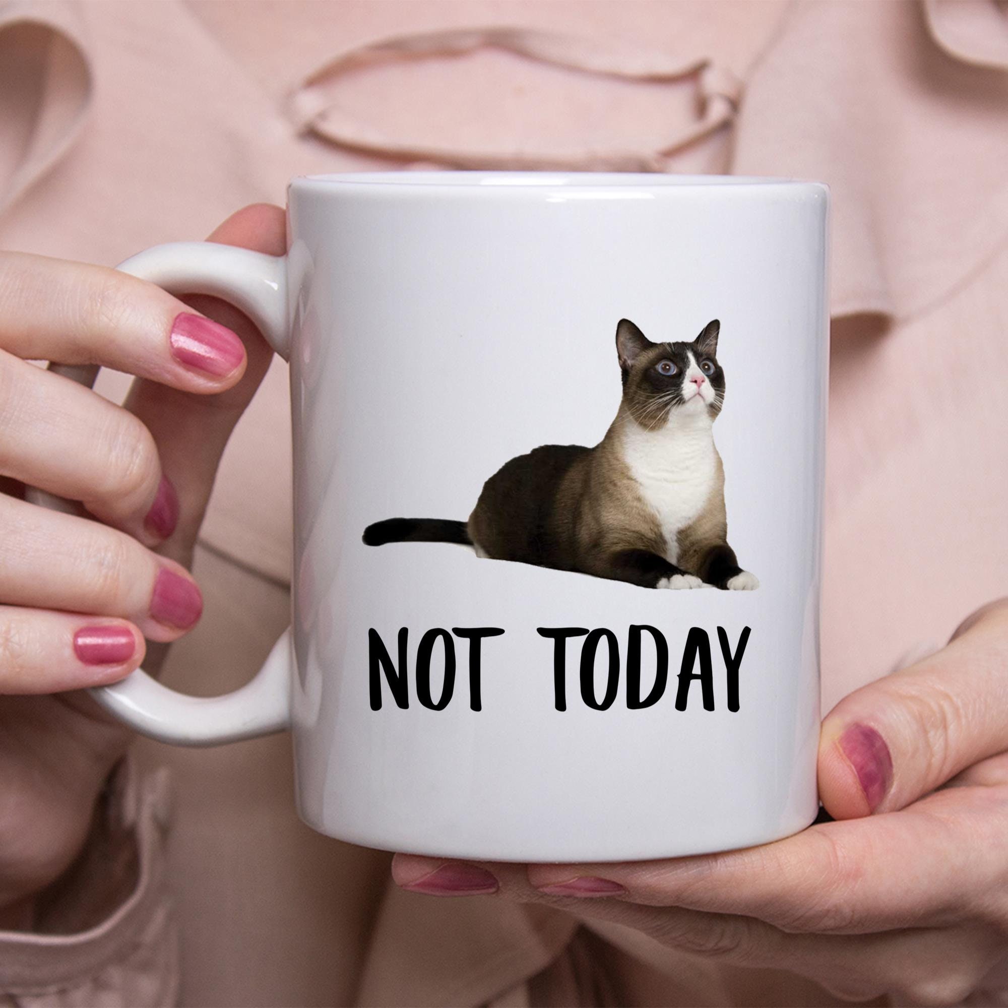 Funny Snowshoe Cat Black Fawn Not Today Cat Mug Lazy Gift For Etsy
