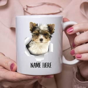 Biewer yorkie best sale teacup