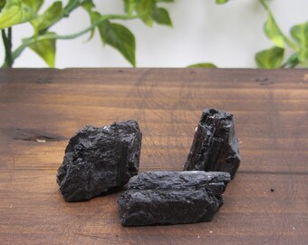 Può includere: Tre cristalli di tormalina nera grezza sono disposti su una superficie di legno. I cristalli hanno una superficie ruvida e irregolare e forme diverse. Il fogliame verde è visibile sullo sfondo.
