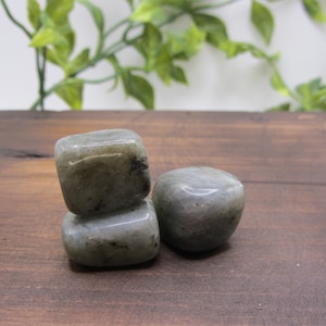 May include: Three polished labradorite stones in shades of gray and blue are stacked on a wooden surface. The stones have a smooth, rounded shape and a subtle sheen. Green foliage is visible in the background.