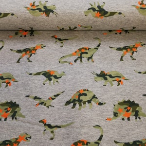 French Terry Dinosaurs