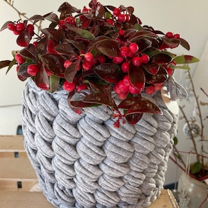 Crocheted basket, plant pot