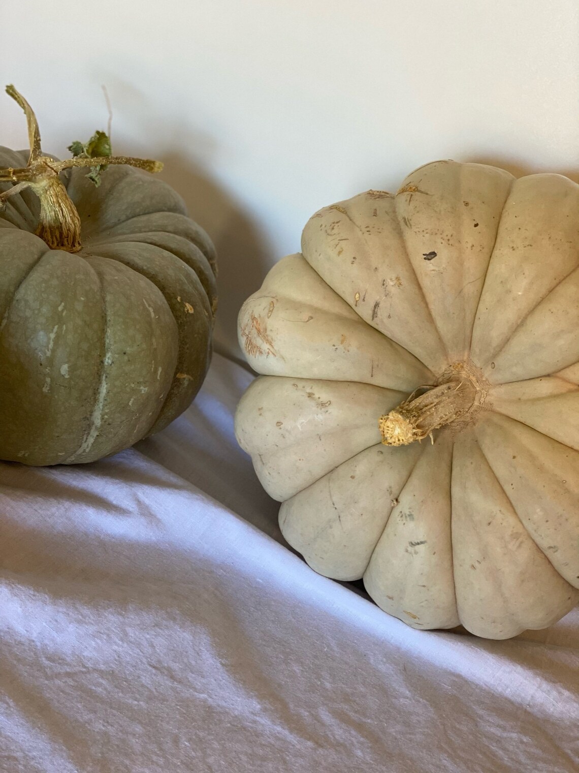Blue Jarrahdale Pumpkin 25 Seeds Etsy