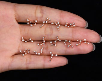 Può includere: Una collezione di undici orecchini a lobo in oro rosa, ognuno a forma di una costellazione zodiacale unica. Gli orecchini presentano piccole pietre chiare e scintillanti fissate sui punti di ogni formazione stellare, creando un design delicato.