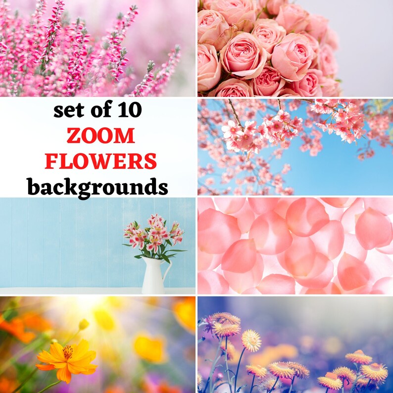 FLOWERS Zoom Background Backdrop for Online Meeting and Video Etsy