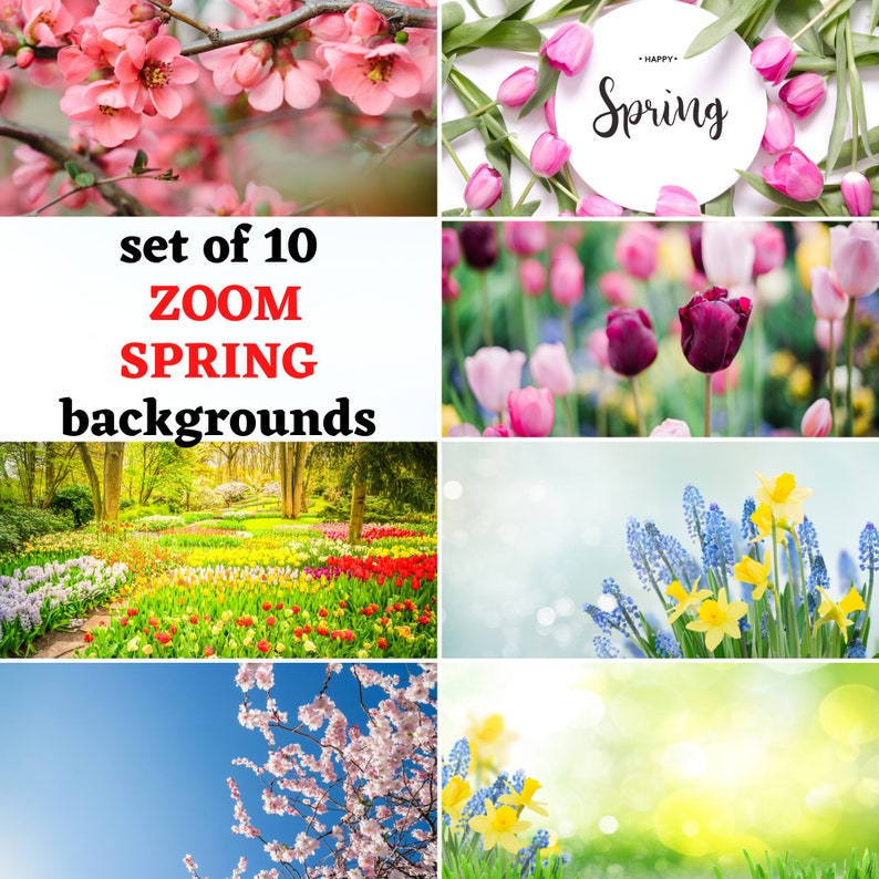 SPRING Zoom Background Backdrop for Online Meeting and Video Etsy