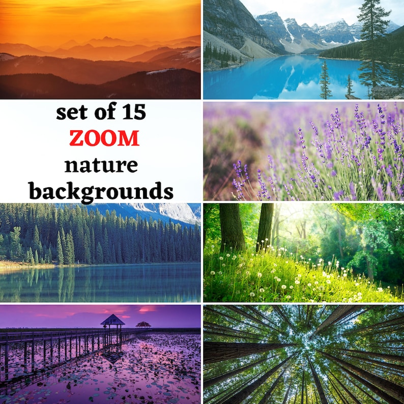 zoom virtual background nature zoom virtual background nature