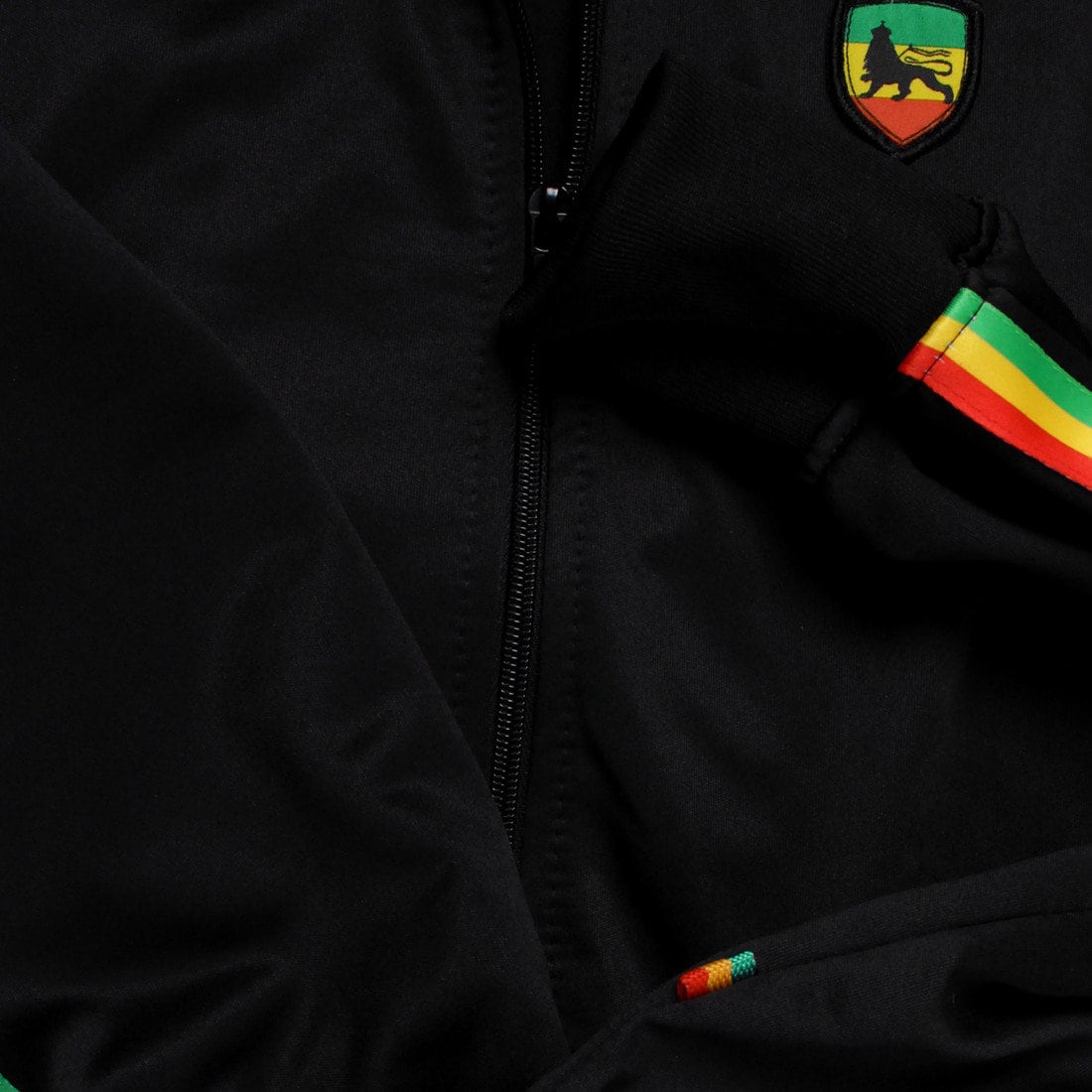 Striped Rasta Track Top Jacket the Lion of Judah Track Jacket - Etsy