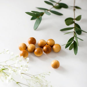 Può includere: Un gruppo di piccole sfere di legno marroni su una superficie bianca. Sullo sfondo ci sono fiori bianchi e foglie verdi.