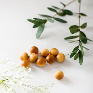 May include: A group of small, wooden, brown spheres on a white surface. There are white flowers and green leaves in the background.