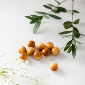 May include: A group of ten small, round, wooden beads in a light brown color. The beads are scattered on a white surface with a sprig of green leaves and a sprig of white flowers.