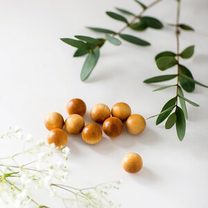 Op de afbeelding: Een groep kleine, bruine houten bollen op een wit oppervlak. Er zijn witte bloemen en groene bladeren op de achtergrond.