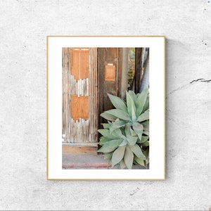 Agave Plant, Succulent Digital Photo Download Art