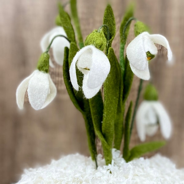 Filz Schneeglöckchen Blume Digitales SVG / PDF-Muster und Anleitung. DIY Frühlings-Filzblumen-Muster & Anleitung. Machen Sie Ihre eigenen Frühling Dekorationen