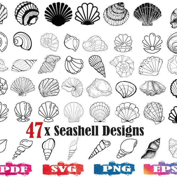 Seashell SVG / Seashells PNG / seashell silhouette / sea shell clipart / cut file / print file / seashell vector / seashell design / cricut