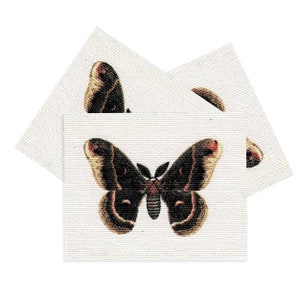 May include: Three white cards with a brown and black butterfly illustration printed on each card. The butterfly has red accents on the wings.