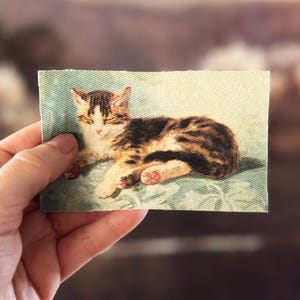 May include: A rectangular patch featuring a detailed illustration of a tabby kitten lying down. The kitten has brown and black stripes with white markings. The background is a light blue color with a floral pattern.