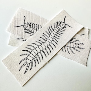 May include: Several off-white fabric labels with a black centipede design. The centipede is depicted in a detailed, linear style, with segmented body and multiple legs. The labels are rectangular and have a woven texture.