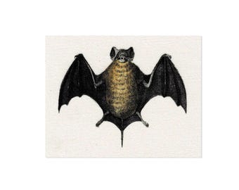 Bat Fabric Sew On Patch | Gothic Accessories Punk DIY Handmade Horror Appliques (4x3.2")