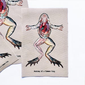 May include: A rectangular fabric patch featuring a detailed anatomical illustration of a frog with exposed internal organs, muscular leg structure, and webbed feet. The text "Anatomy of a Common Frog" is printed in black at the bottom of the beige canvas.