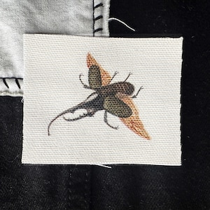 Rhinoceros Beetle Sew On Patch | Handmade Entomology Fabric Bug | 3x2.25"