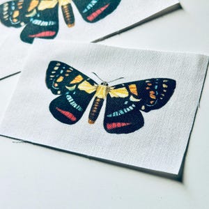 May include: A rectangular white fabric patch featuring a printed moth with black wings. The moth has yellow accents on the thorax and wing bases, with blue and red markings along the wing edges. The fabric has a visible woven texture.