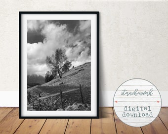 digital download, Photography, black and white, print, printable, tree,large, wall art, mountain, landscape, foto, large poster, fields