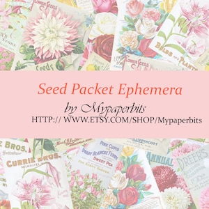 Pacote de sementes vintage Coisas efêmeras digitais, coisas efêmeras vintage, coisas efêmeras florais, cartões de registro no diário, imprimíveis, kits digitais,