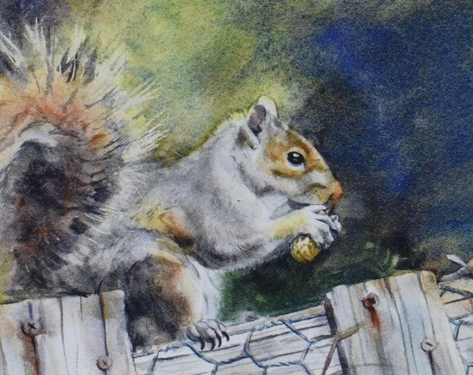 Squirrel on the Garden Fence (C62) -- Blank Greeting Card, Watercolor, Nature, Pet Portrait