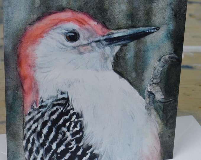 Red Bellied Woodpecker Portrait (C60) - Blank Greeting Card, Watercolor, Nature, Birds, Winter