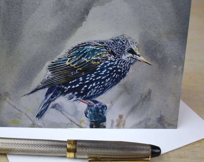 Puffed up Starling (C47) -- Blank Greeting Card, Watercolor, Nature, Pet Portrait
