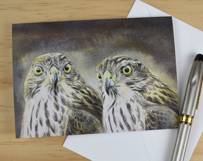 Goshawk Portrait (C40) -- Blank Greeting Card, Watercolor, Nature, Birds, Winter