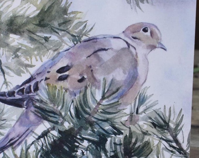 Dove in Pine (C61) -- Blank Greeting Card, Watercolor, Nature, Birds, Trees